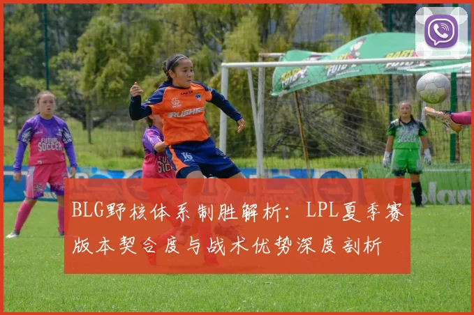 BLG野核体系制胜解析：LPL夏季赛版本契合度与战术优势深度剖析