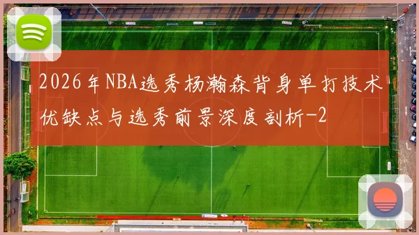 2026年NBA选秀杨瀚森背身单打技术优缺点与选秀前景深度剖析